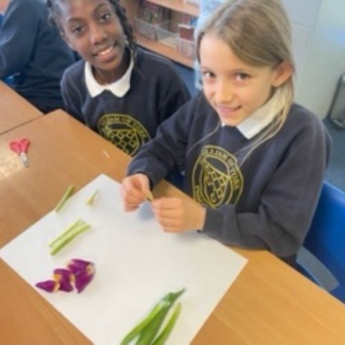 Dissecting Flowers