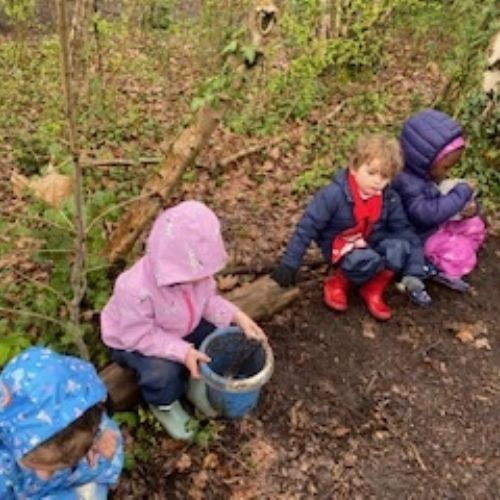 Forest School